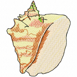 Seashell Embroidery Design 3 Seashell Embroidery Design 3